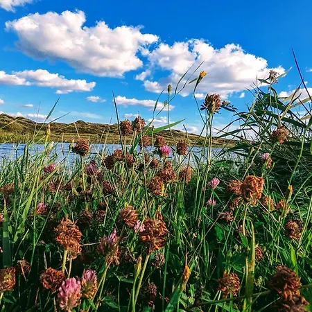 Luxury Retreat By Houstrup - By Traum